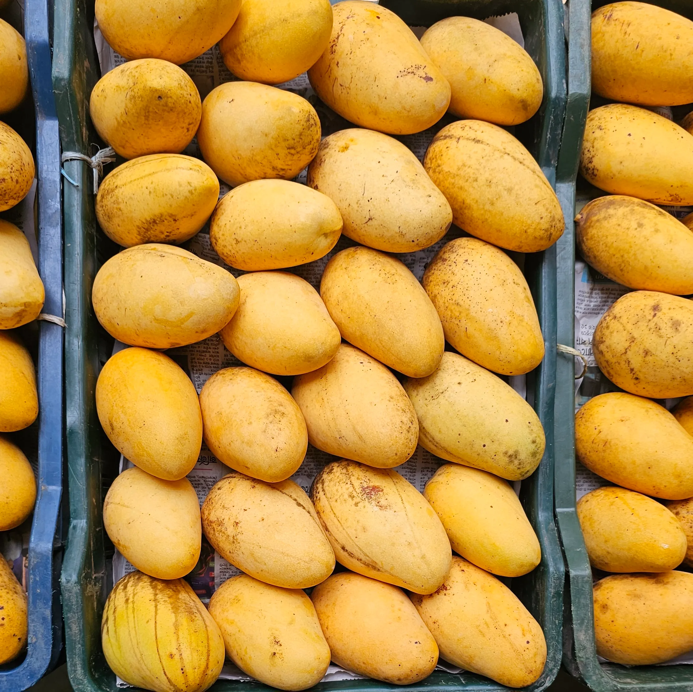 সুইট কাটিমন আম -12KG